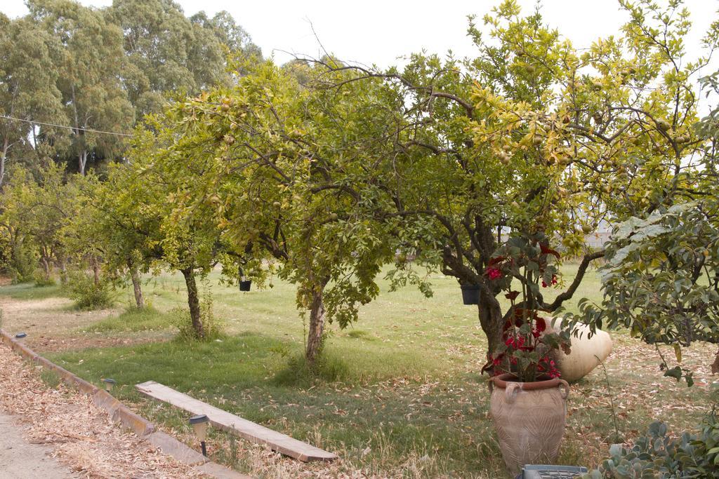 Country & Beach B&B Capoterra Exteriör bild